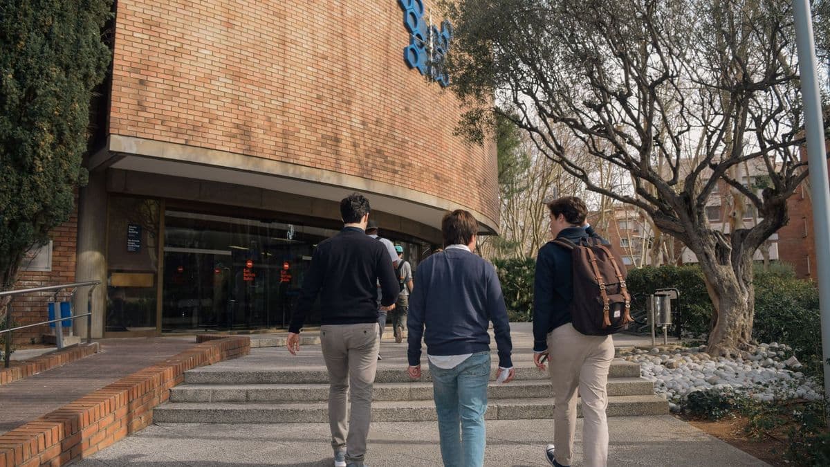 Drei Studierende gehen von hinten gesehen auf den Eingang eines Universitätsgebäudes zu